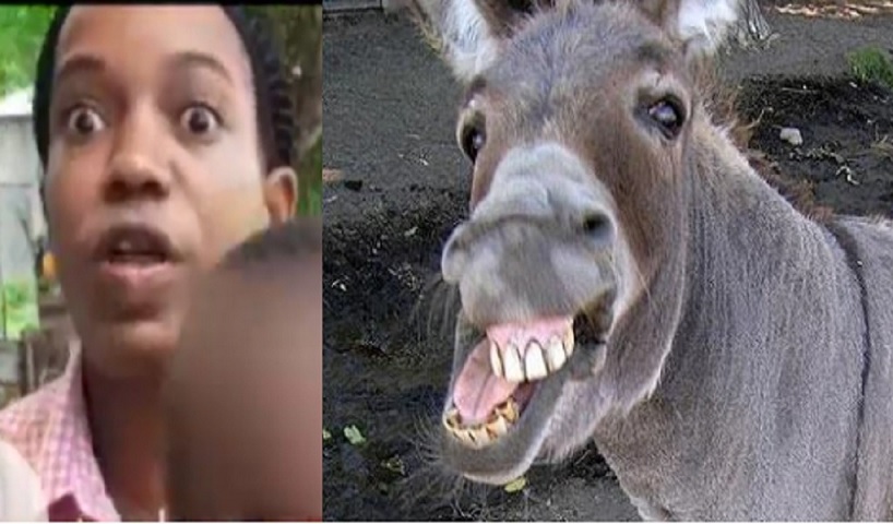 lpuedencreehd