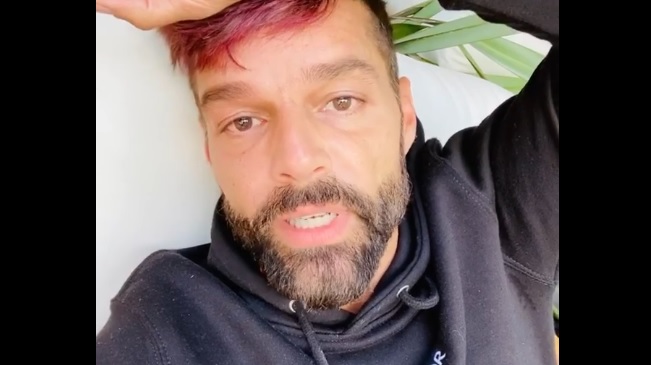 Rickymartinsonbrutos