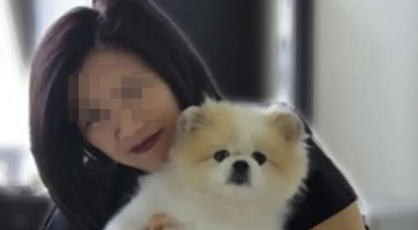 Muere un perro de coronavirus que se había contagiado de su dueña