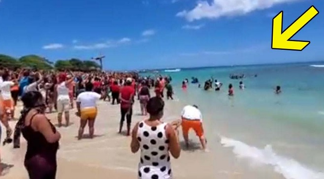 enlapalytaweasi