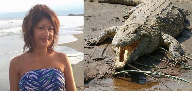 estecocodrilomujertra