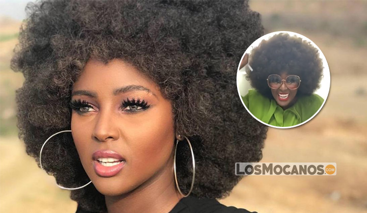 amaralanegrabbcc