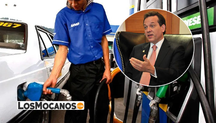 ministrodeeducacionsubencombus