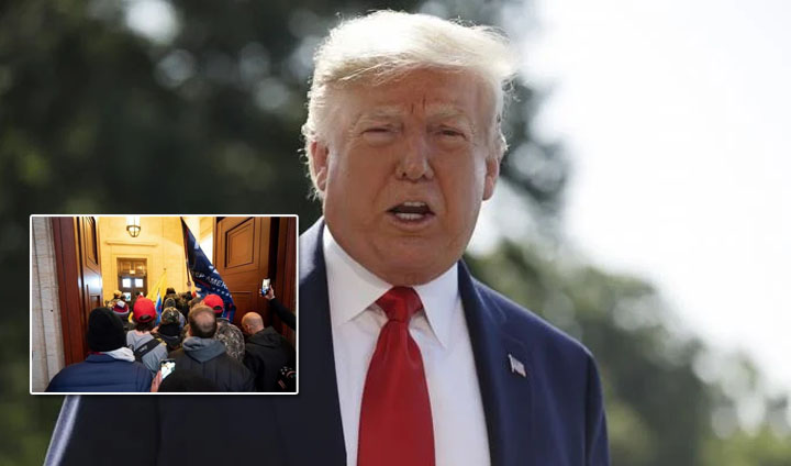 donaltropmdice