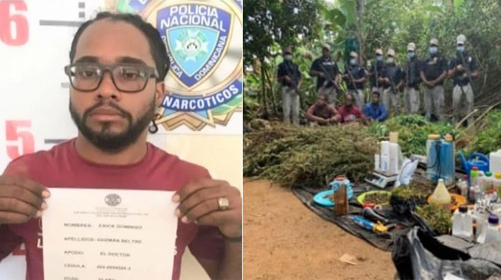 Arrestan médico que fue hallado secando 153 plantas de marihuana
