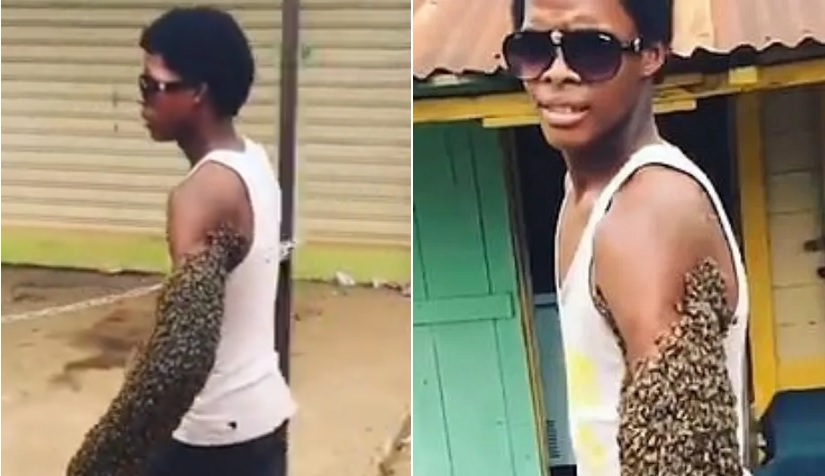 Viral: El joven Abejas