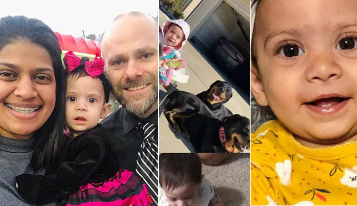 Bebé de 10 meses muere tras ser atacada por dos perros Rottweiler