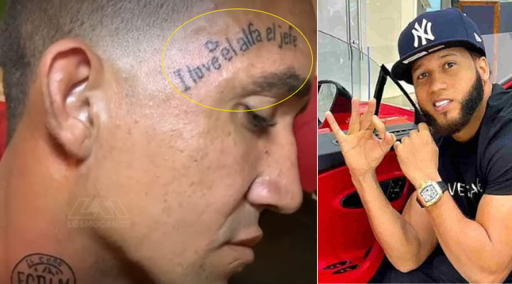 elalfaeljefedice