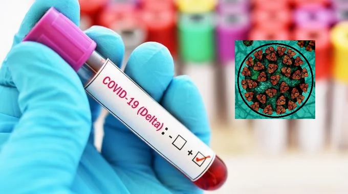 Detectan la variante delta del Coronavirus en República Dominicana desde julio