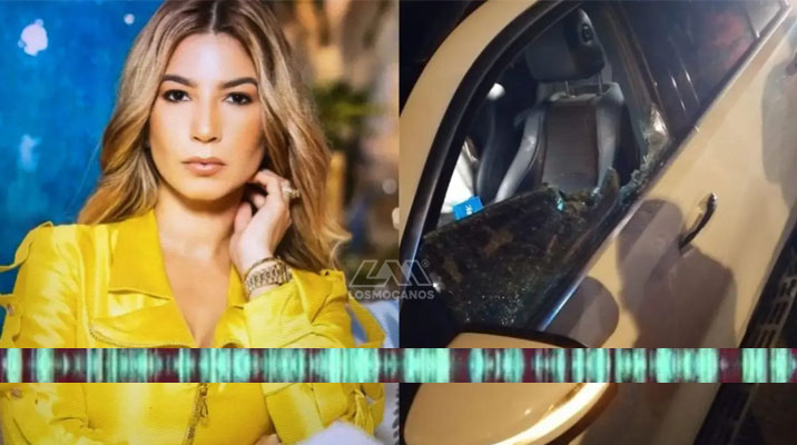 Circula audio revelador del caso Leslie Rosado