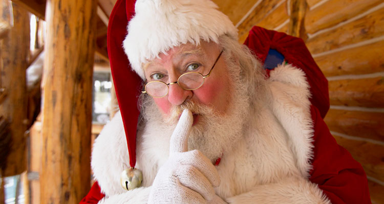 Papá Noelfalso