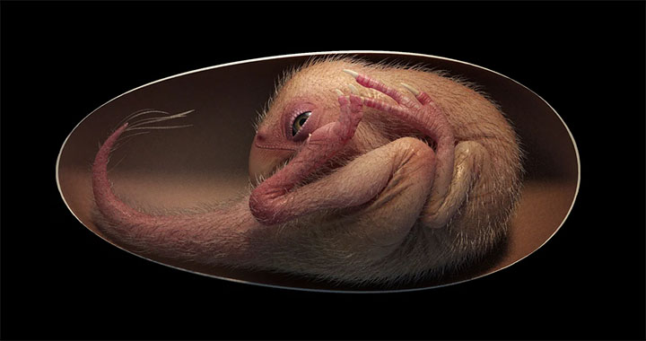 dinoemnbrion
