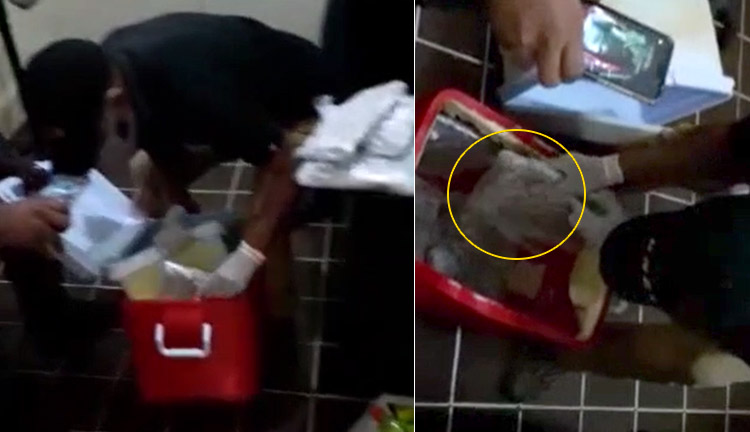 Atrapan hombre que intentó introducir drogas en cárcel de La Victoria en una neverita