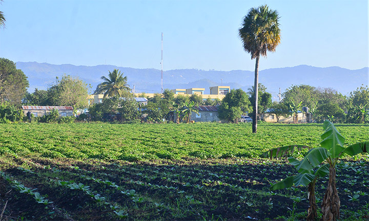 tierrademcoamira