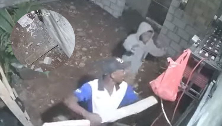 Ladrones quedan captados en cámaras de seguridad en SPM