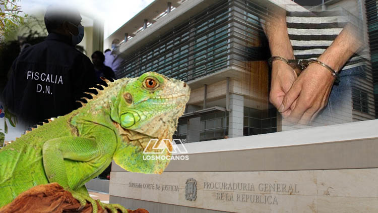 iguaoptfsnasi