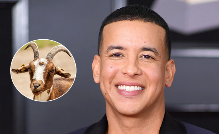 ¿Qué significa la cabra en el último álbum de Daddy Yankee?