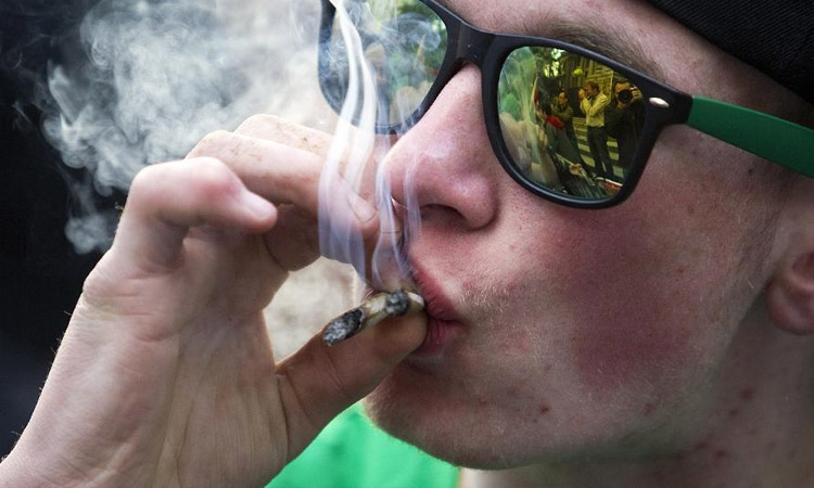 Estudio: marihuana no sirve para tratar dolor, ansiedad o depresión