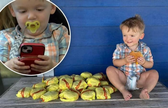 Niño de 2 años pide 31 hamburguesas con queso en DoorDash con el teléfono de su madre