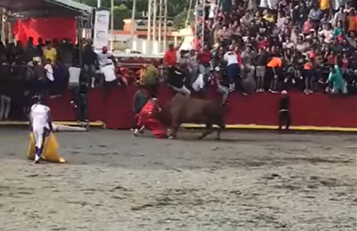 Toros siguen dando cornadas en lidias taurinas patronales El Seibo