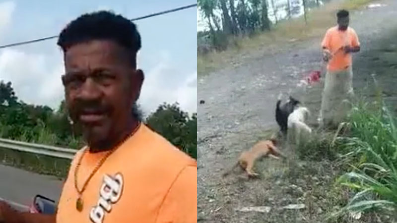 Hombre recorre kilómetros arrastrando a tres perros atados a una soga en Cotuí