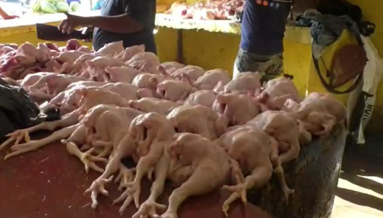 Vendedores de carne de pollo, culpan a productores de alzas en los precios de la carne blanca