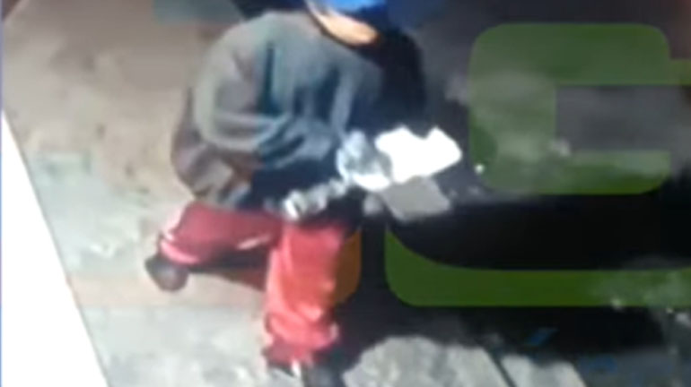 Denuncian que hombre envenenó animales en Monte Plata