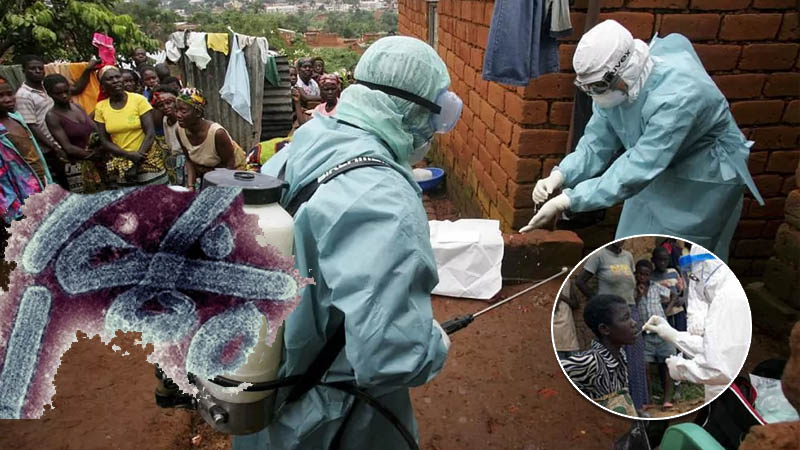 virus Marburgo