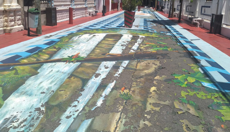 Calle tridimensional 3D de Moca, se deteriora por falta de atenciones