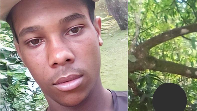 Encuentran joven colgado en un árbol en Monte Plata