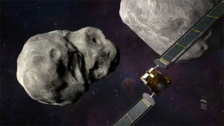 nasadart