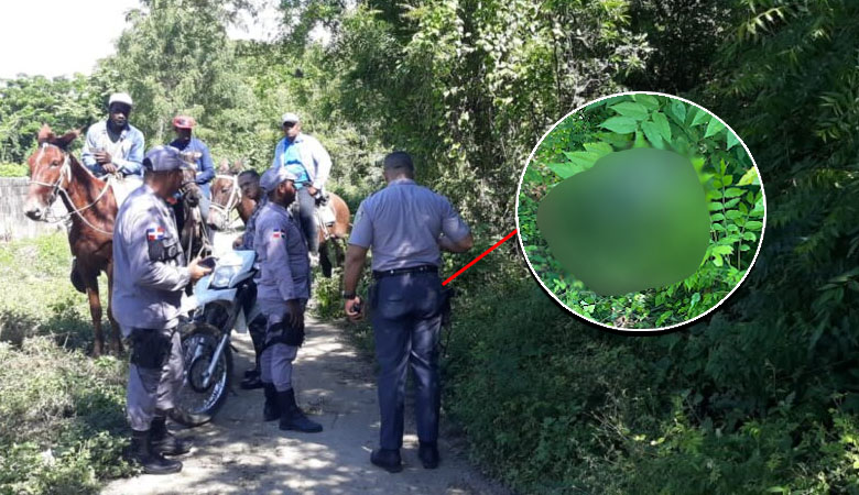 Hallan hombre sin vida en unos matorrales en el municipio Guayacanes SPM