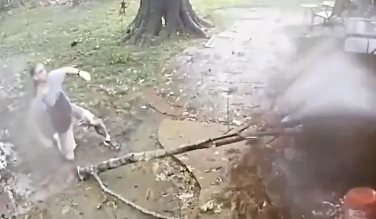 Tipo escapa de la muerte y se hace viral