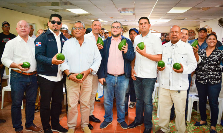 Director del FEDA anunció que trabajará en empacadora de aguacates