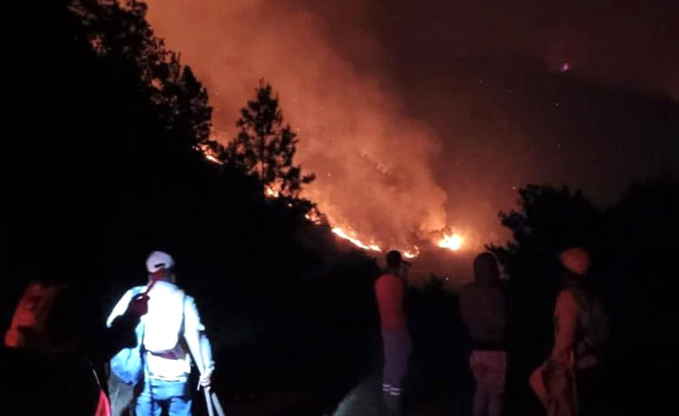 Disponen cierre de Valle Nuevo por incendio forestal