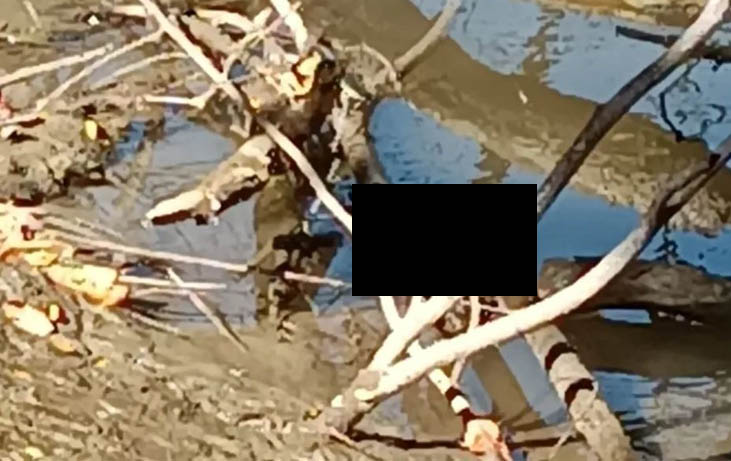 Hallan cadáver de una persona a orillas del río Yaque en Pueblo Nuevo Mao