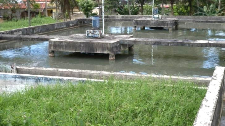 pantatratamienmoca