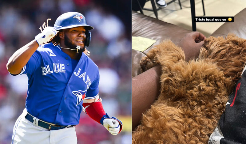 Vladimir Guerrero Jr