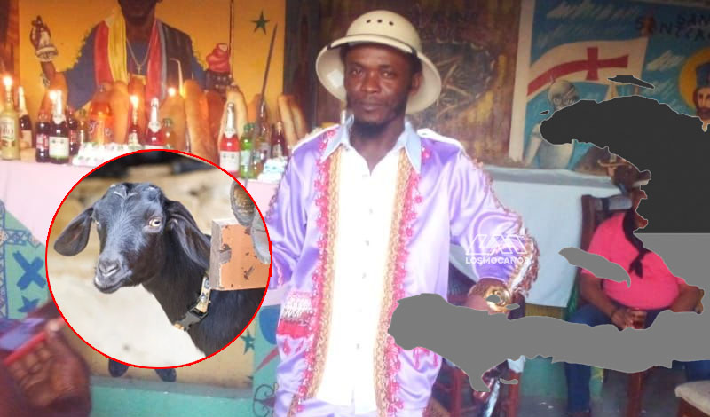 Brujo haitiano pide disculpa a sociedad dominicana por utilizar chivo en hechizo