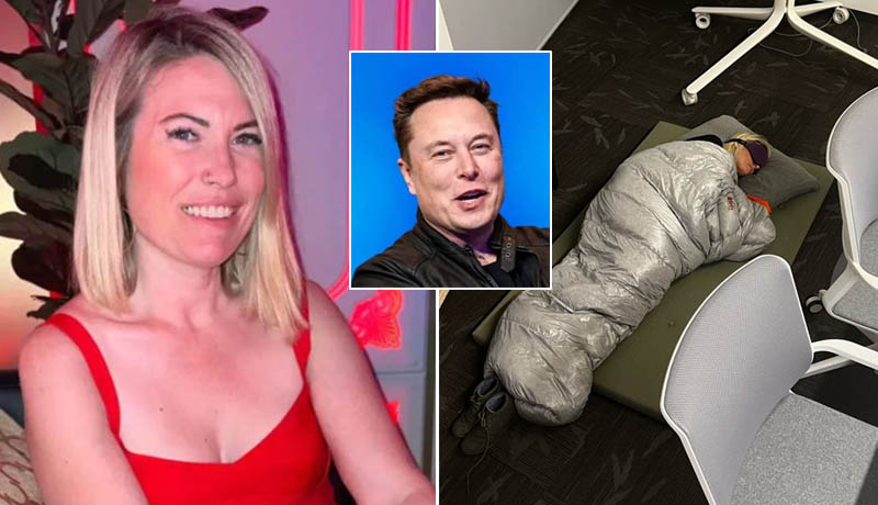 elonlavototwiiter