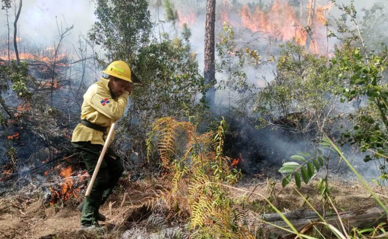 Unos 11 incendios forestales están activos en RD