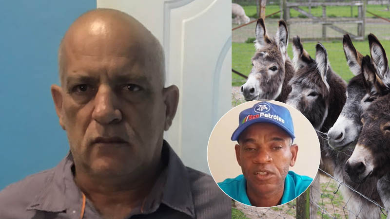 Arrestan dueño de finca donde aparecieron diez burros envenenados en Santiago Rodríguez
