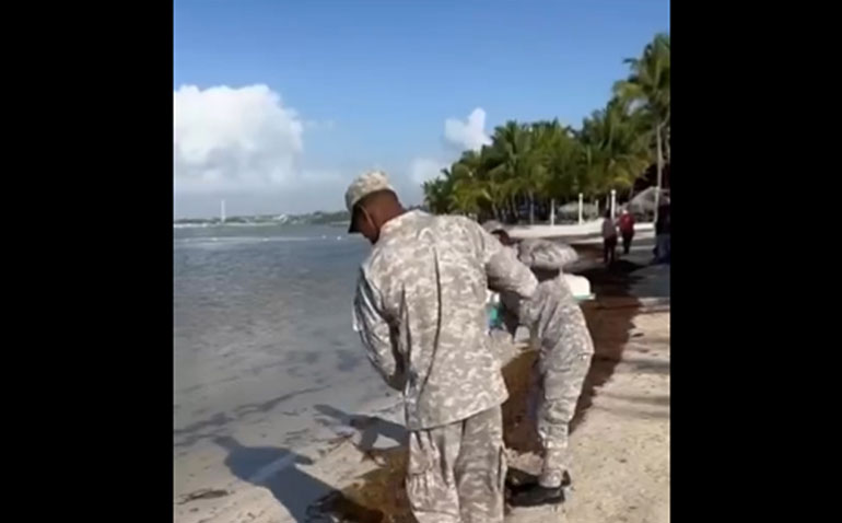 Armada Dominicana retira 600 toneladas de sargazo en la playa de Boca Chica