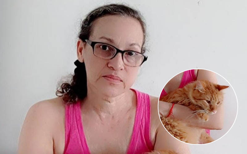 Desalojan mujer con 10 gatos en un apartamento y pide plazo para mudarse a lugar más espacioso