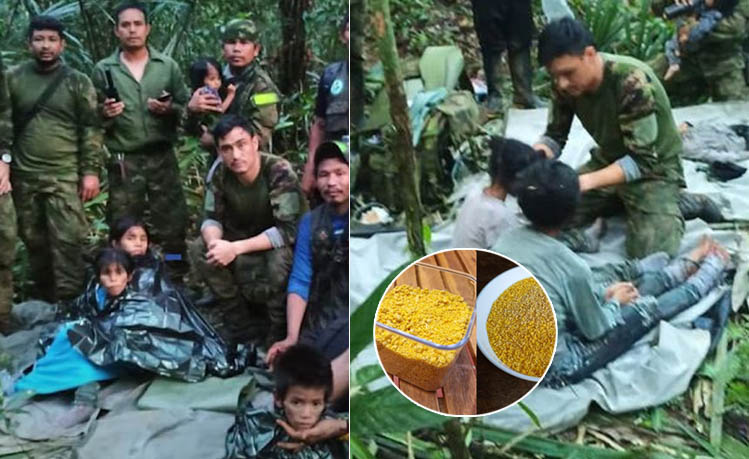 Descubre el sorprendente sustento de los cuatro niños perdidos en la selva colombiana durante 40 días