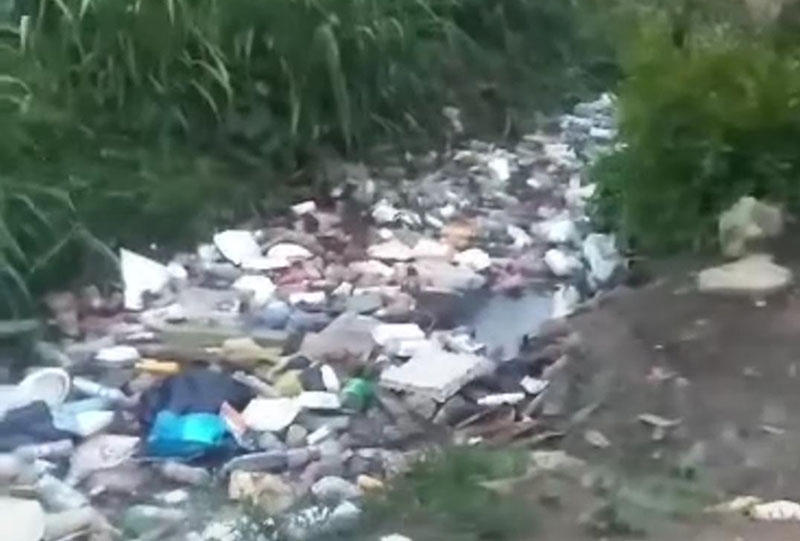 canaaloslopeszmoca
