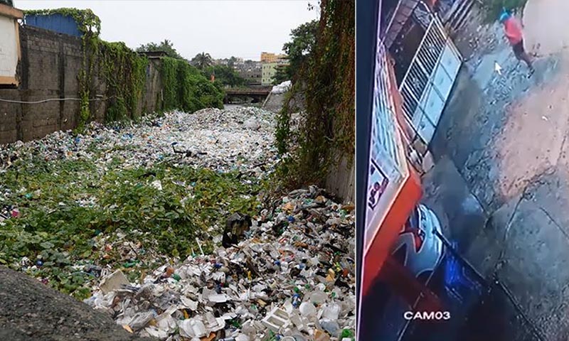 cañada Guajimía