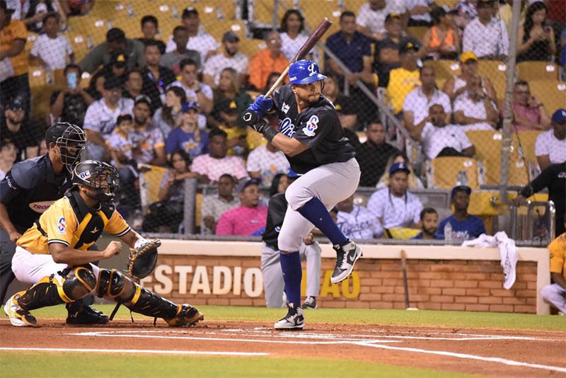 liceyaplstaalsagulas