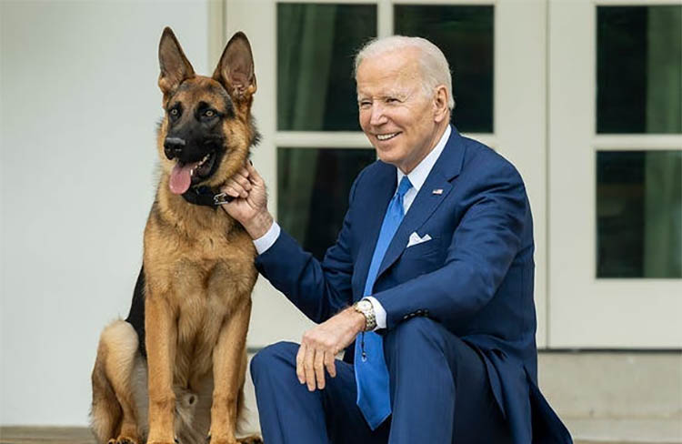 Adiós a Commander: El perro de Biden expulsado de la Casa Blanca por morder a agentes