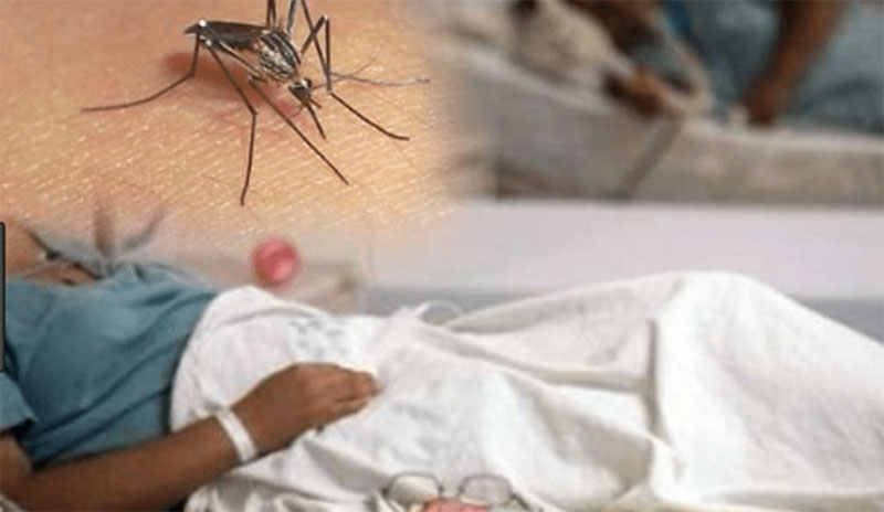 Ascienden a 16 dengue